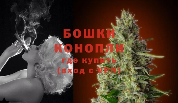 ПСИЛОЦИБИНОВЫЕ ГРИБЫ Пересвет