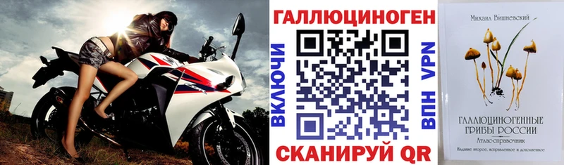 Купить где  Артёмовск  Галлюциногенные грибы Psilocybe 
